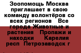 Зоопомощь.Москва приглашает в свою команду волонтёров со всех регионов - Все города Животные и растения » Пропажи и находки   . Карелия респ.,Петрозаводск г.